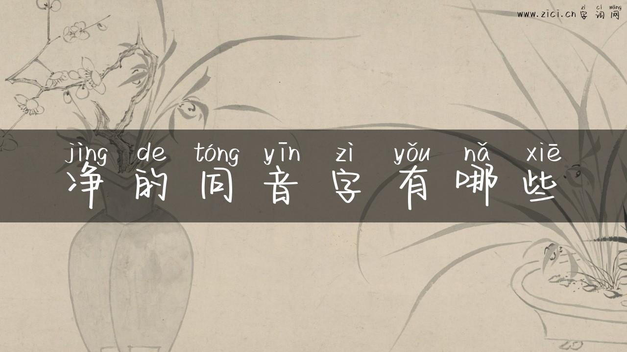 净的同音字有哪些