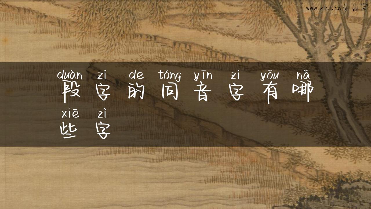 段字的同音字有哪些字