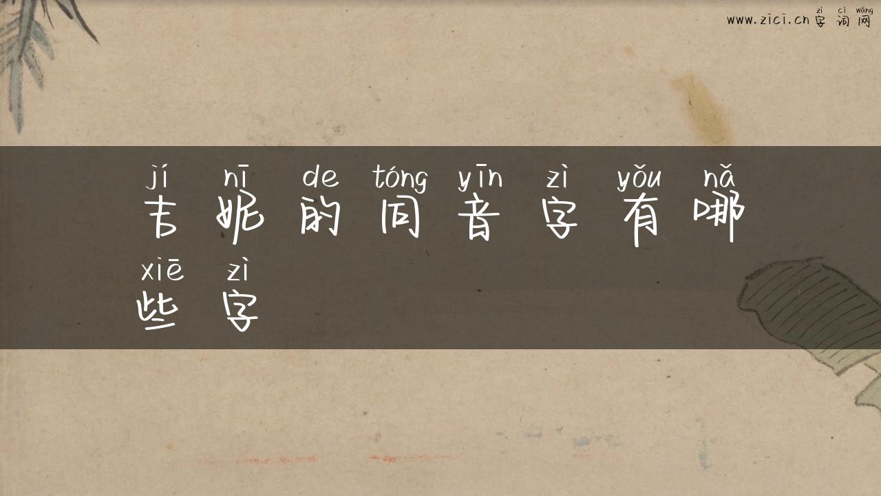 吉妮的同音字有哪些字