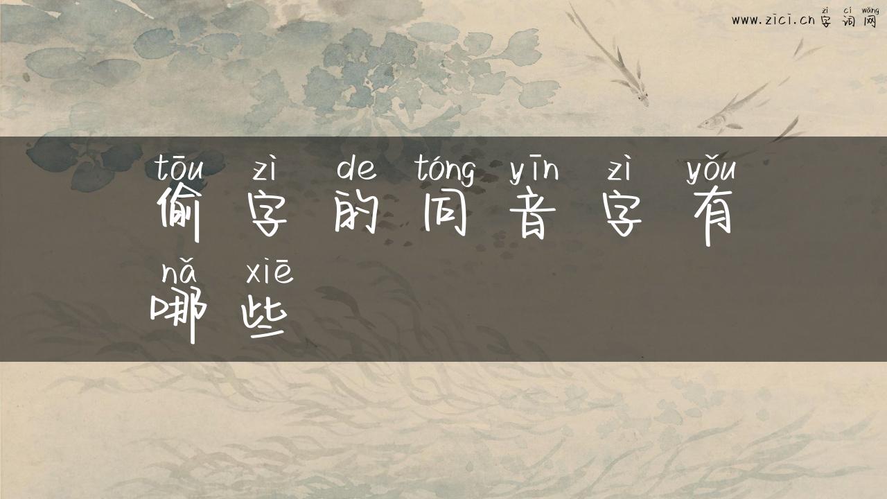 偷字的同音字有哪些