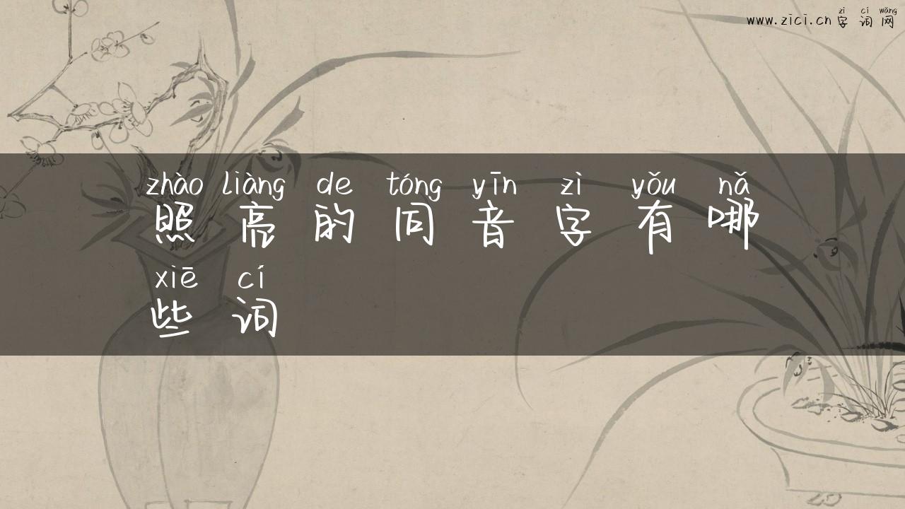 照亮的同音字有哪些词