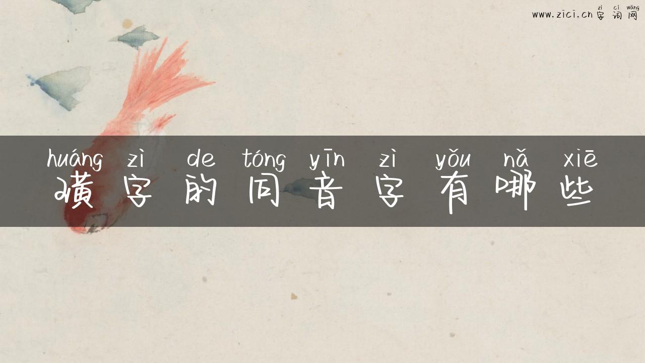 璜字的同音字有哪些