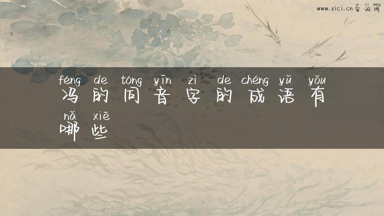 冯的同音字的成语有哪些