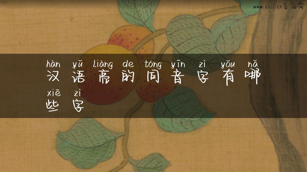 汉语亮的同音字有哪些字