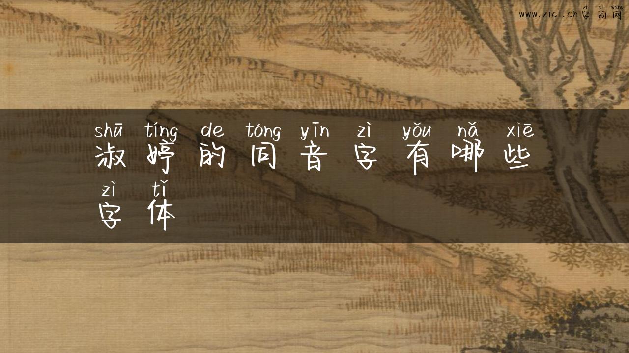 淑婷的同音字有哪些字体