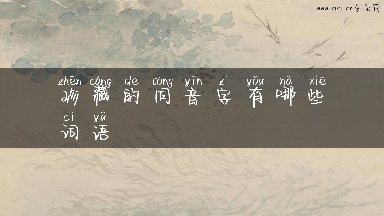 珍藏的同音字有哪些词语