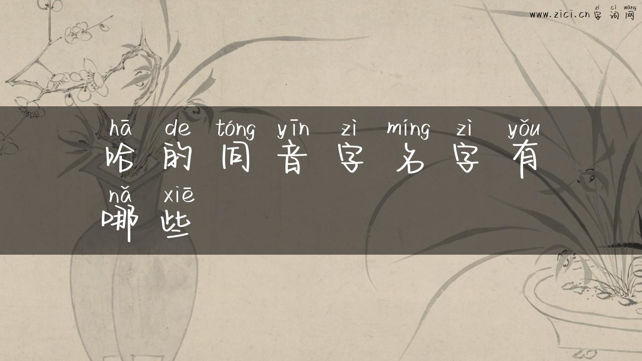哈的同音字名字有哪些