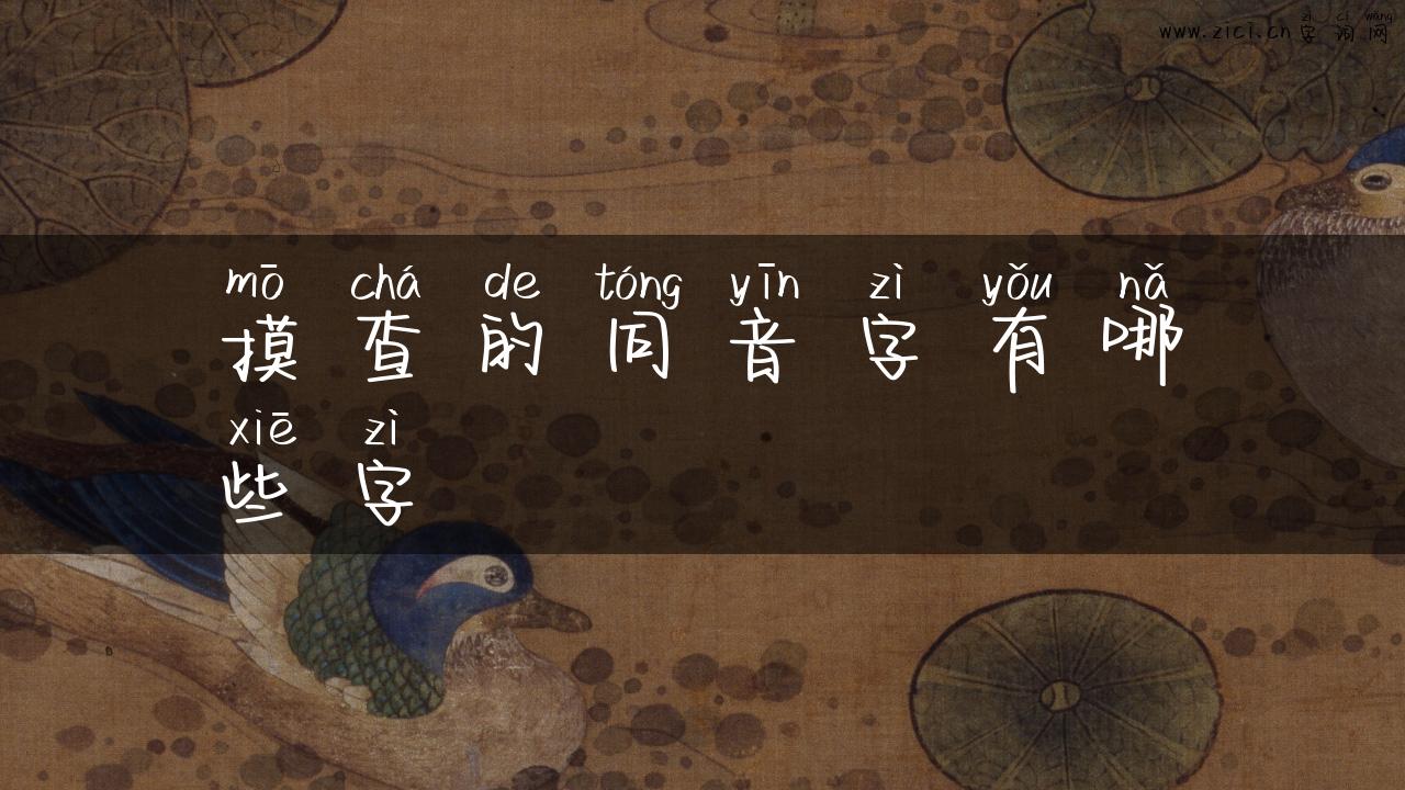 摸查的同音字有哪些字