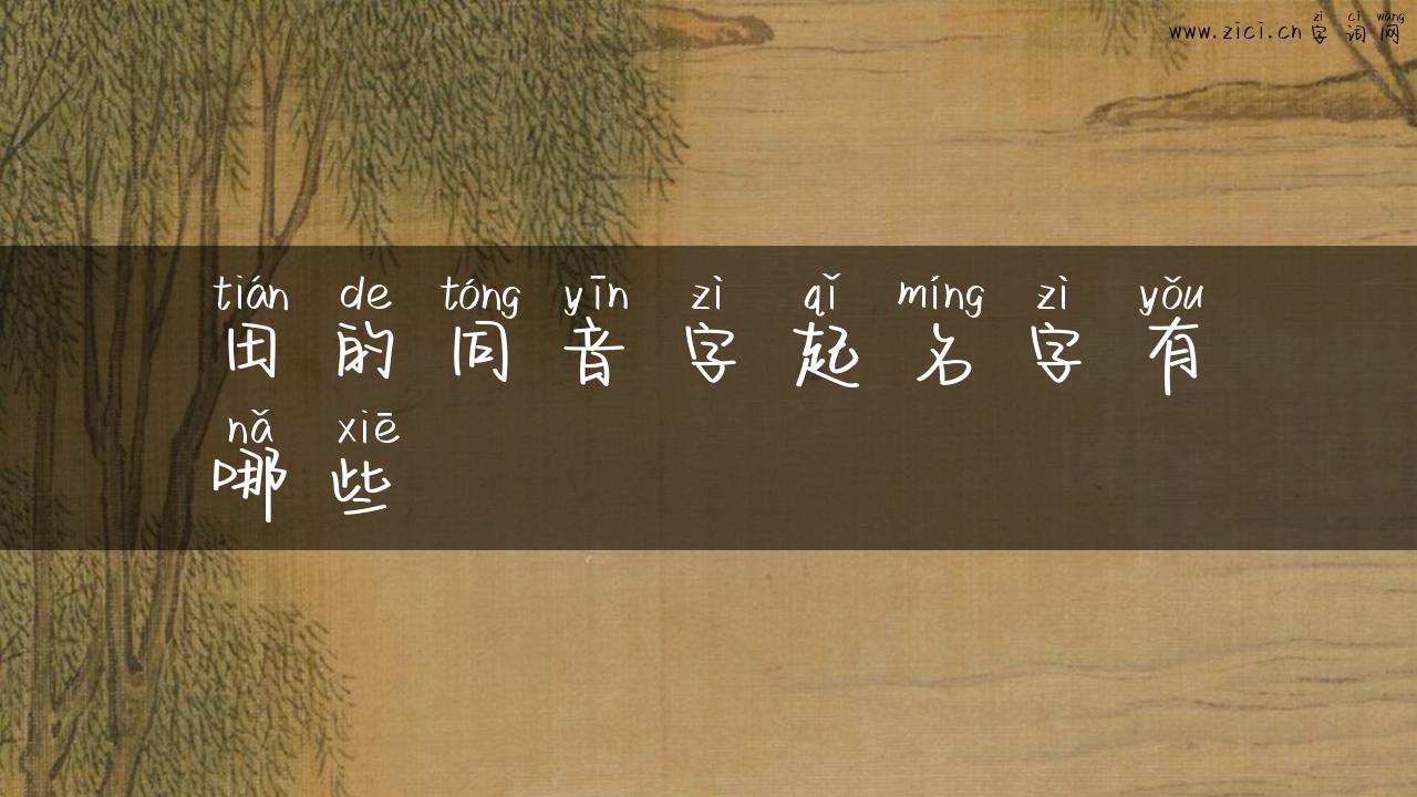 田的同音字起名字有哪些