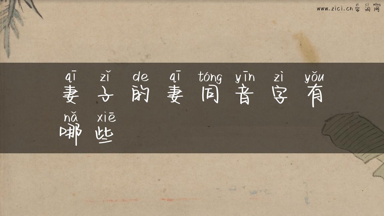 妻子的妻同音字有哪些