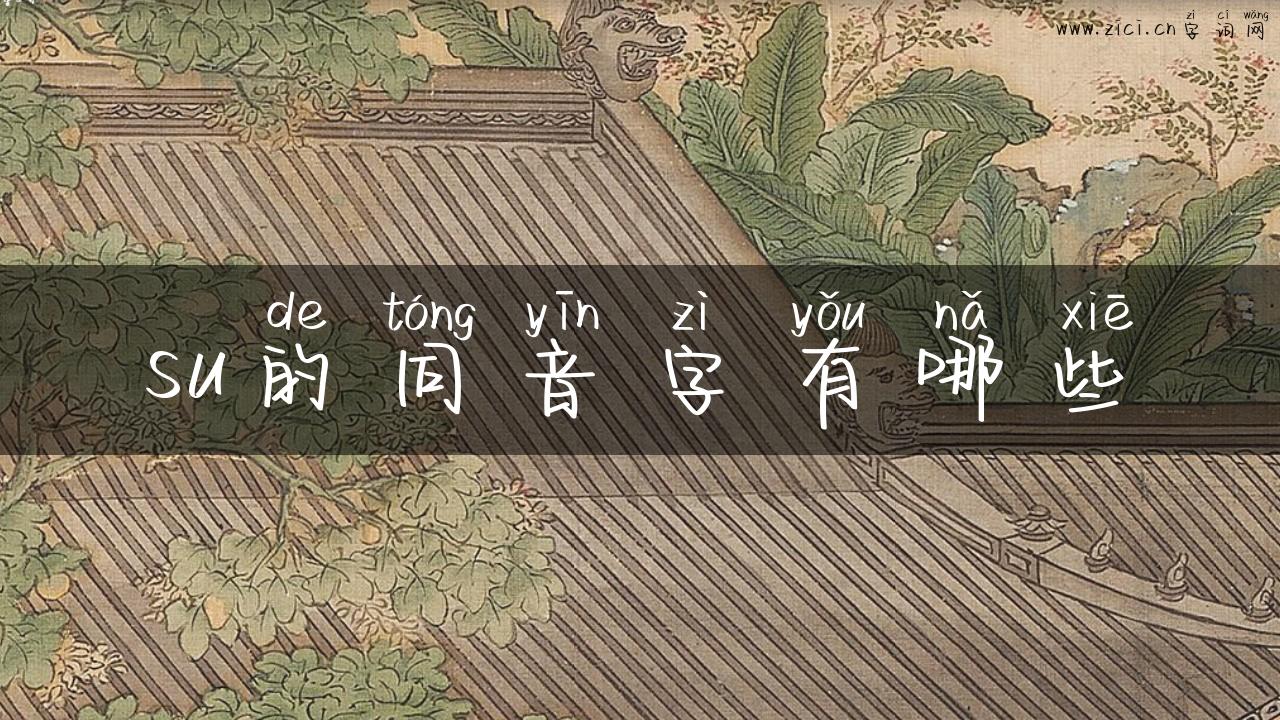 su的同音字有哪些