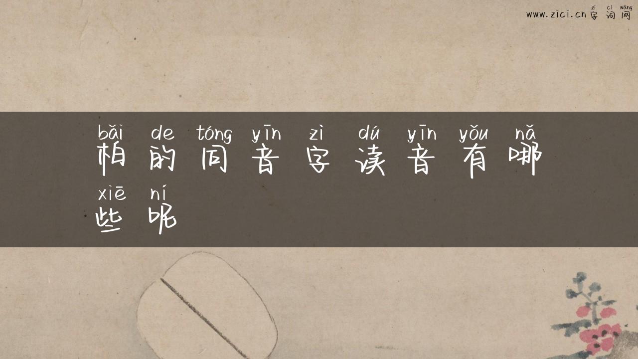 柏的同音字读音有哪些呢