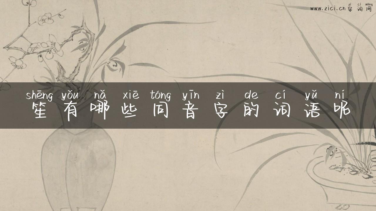 笙有哪些同音字的词语呢