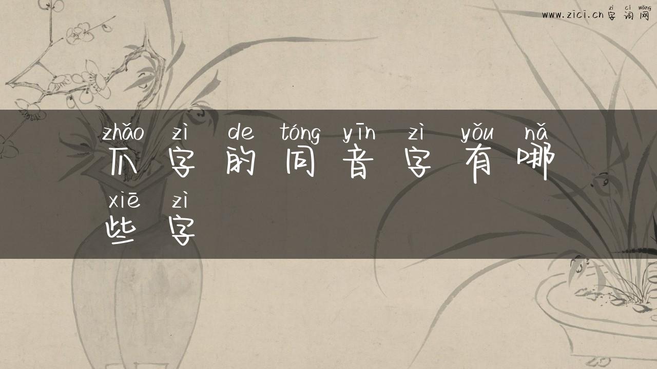 爪字的同音字有哪些字