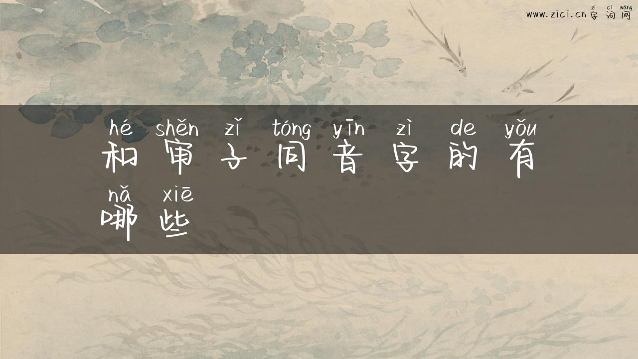 和审子同音字的有哪些