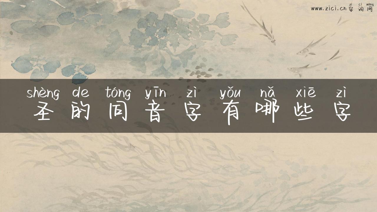圣的同音字有哪些字