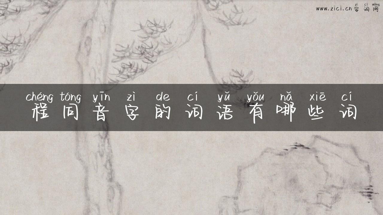 程同音字的词语有哪些词