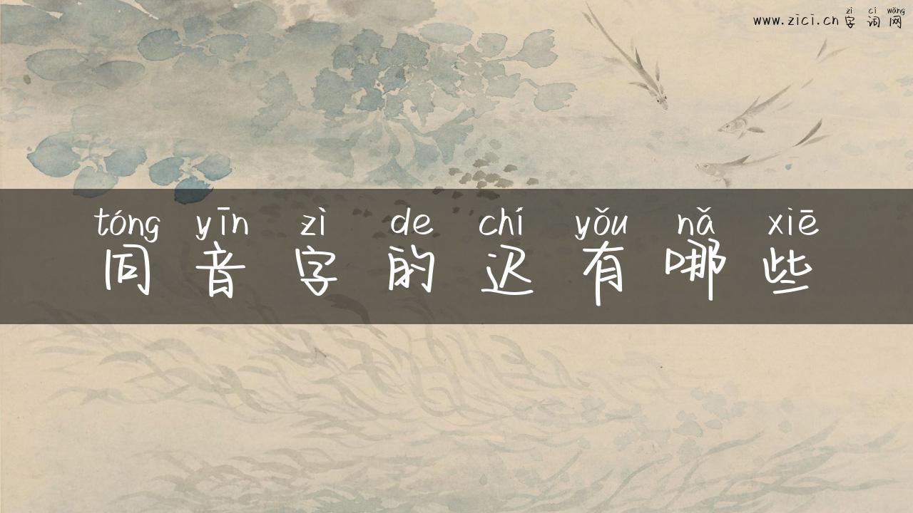 同音字的迟有哪些