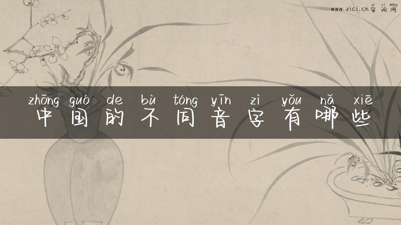 中国的不同音字有哪些