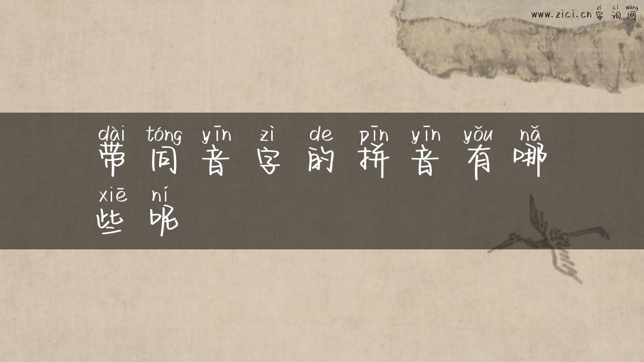 带同音字的拼音有哪些呢