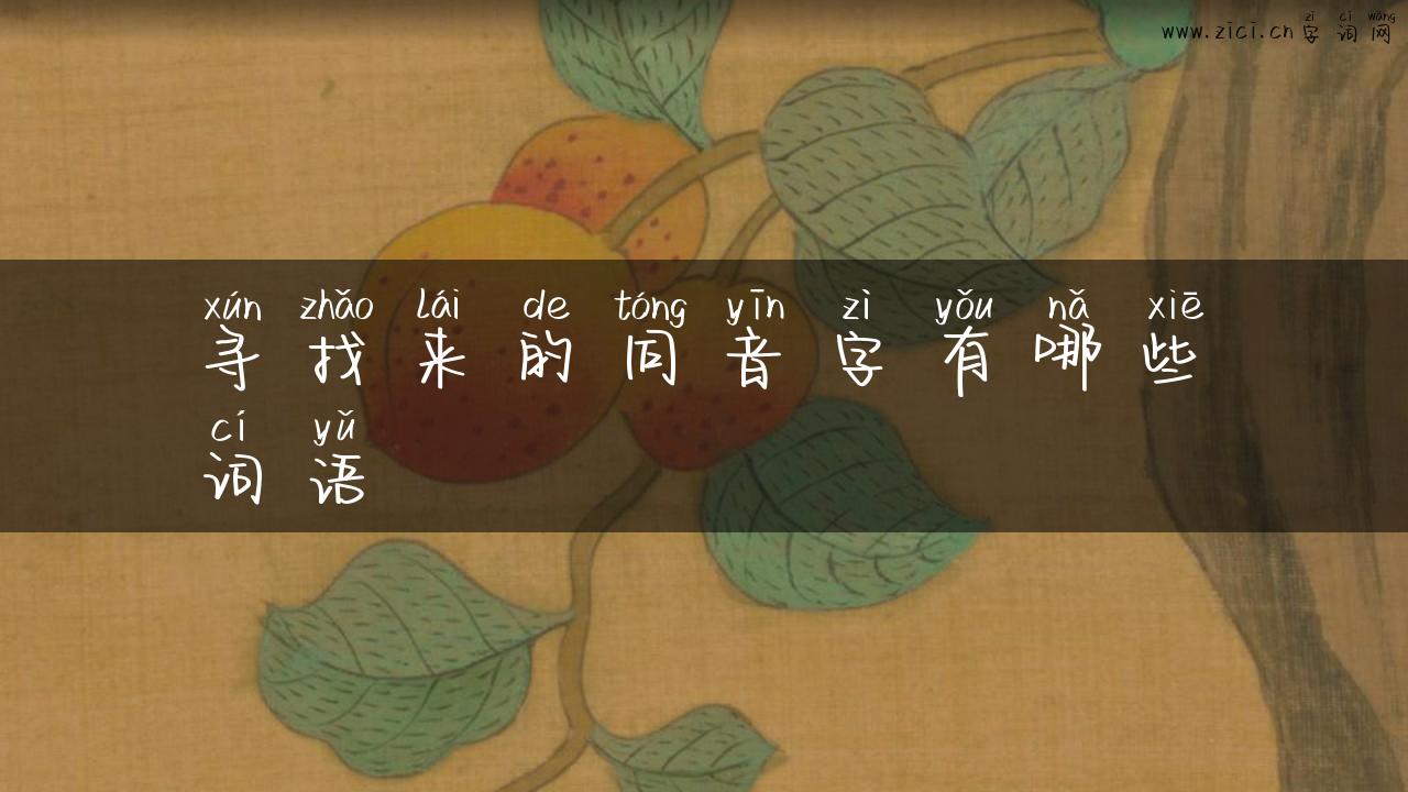 寻找来的同音字有哪些词语