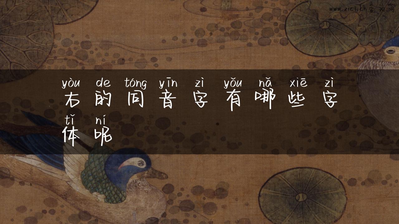右的同音字有哪些字体呢