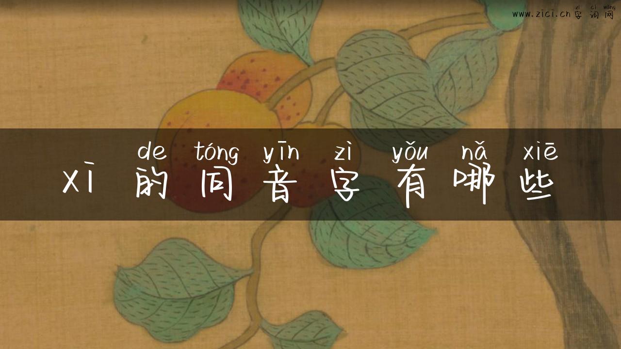 xi 的同音字有哪些