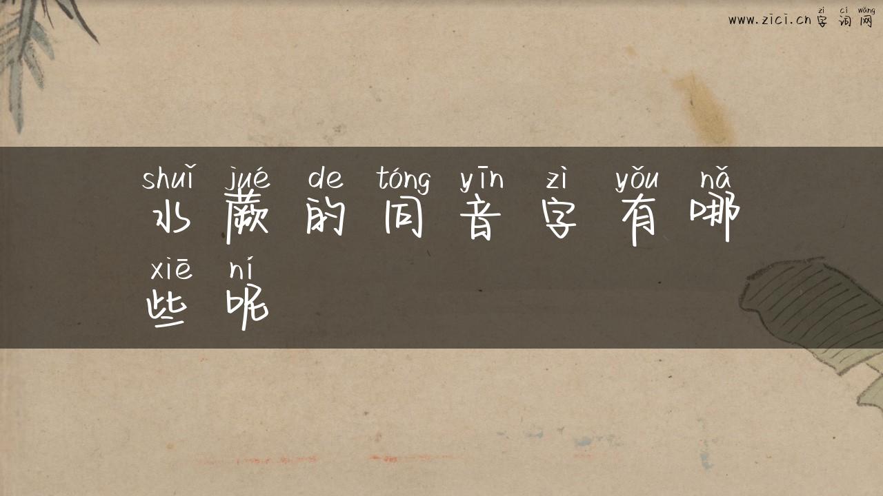 水蕨的同音字有哪些呢
