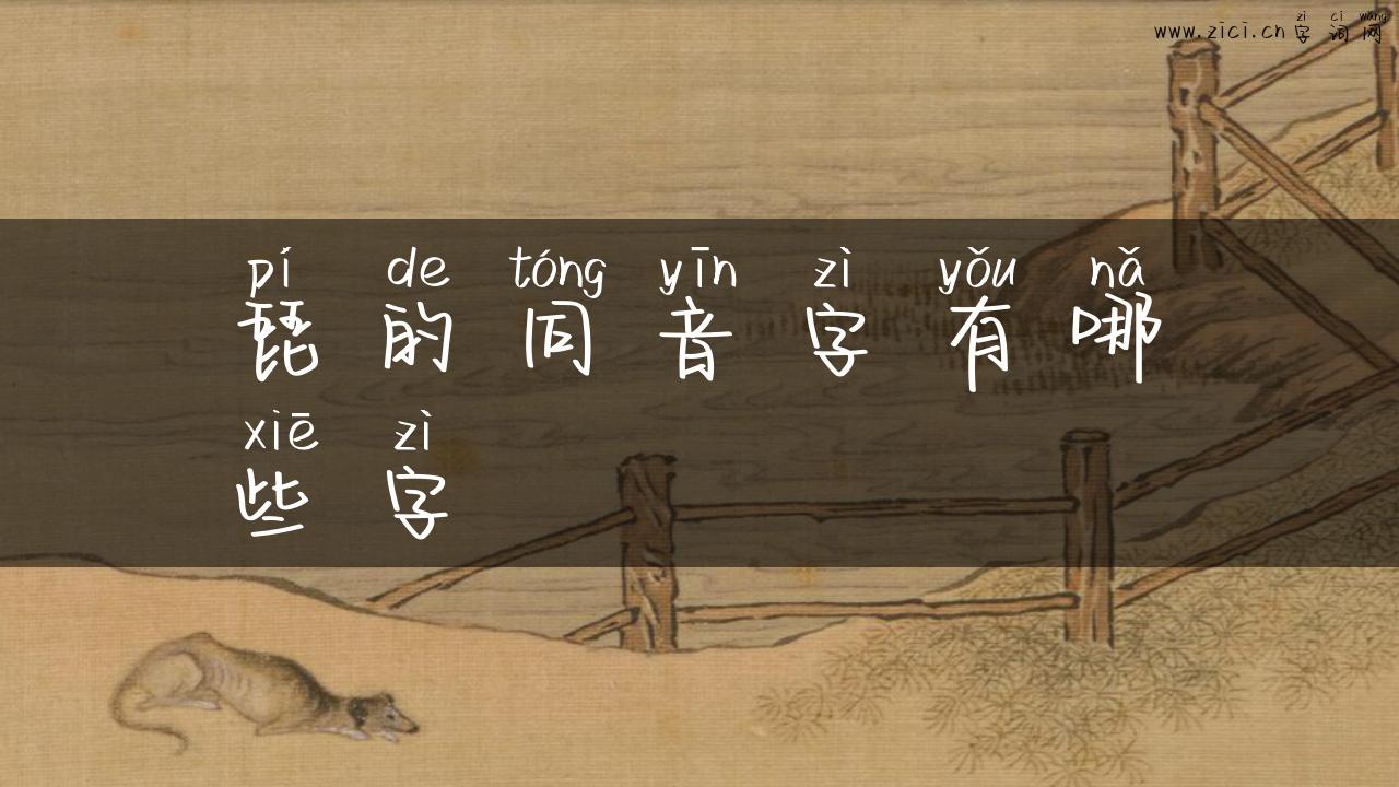 琵的同音字有哪些字