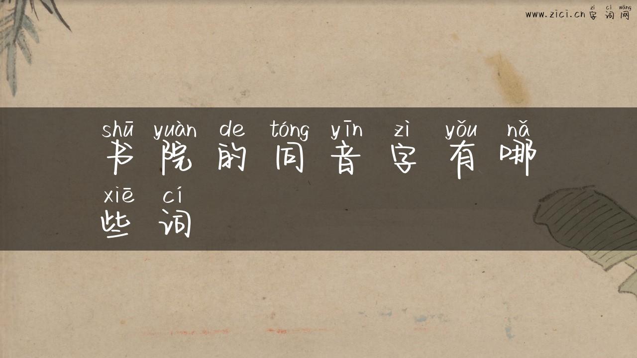 书院的同音字有哪些词