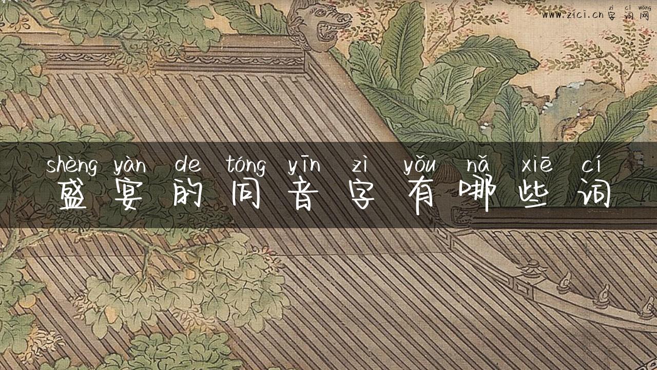 盛宴的同音字有哪些词