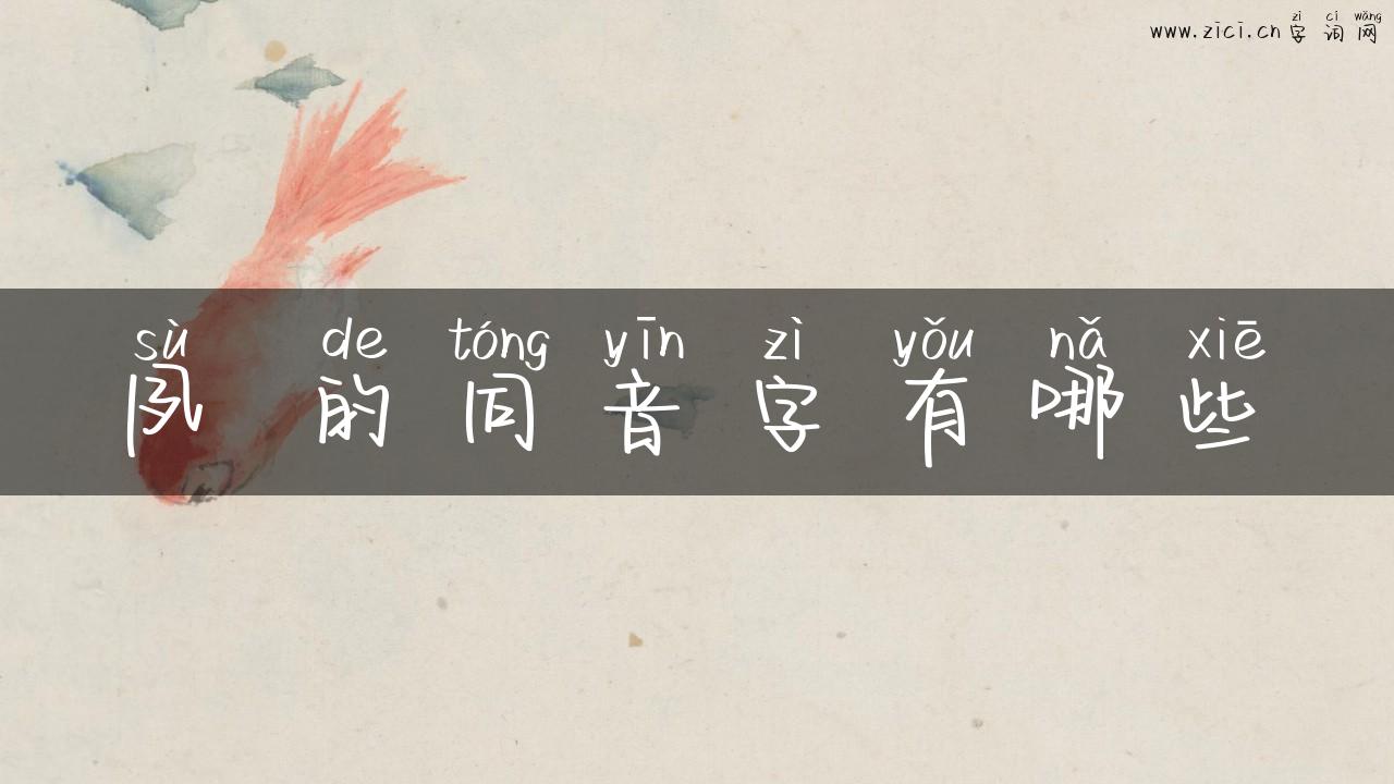 夙 的同音字有哪些