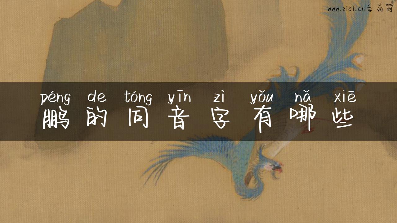 鹏的同音字有哪些