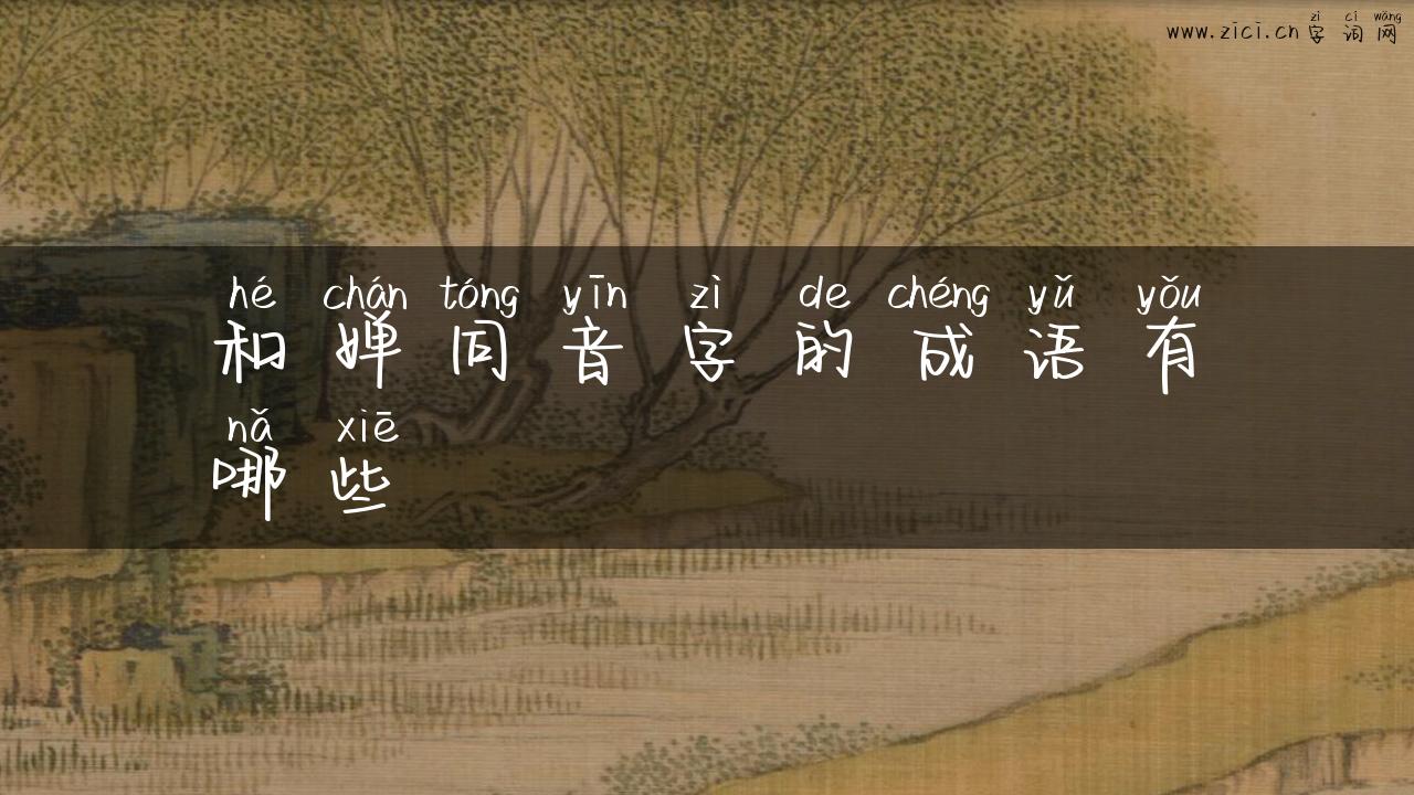 和婵同音字的成语有哪些