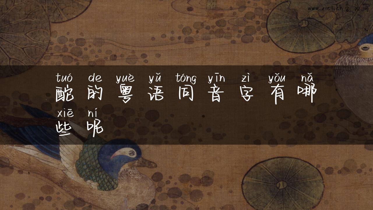 酡的粤语同音字有哪些呢