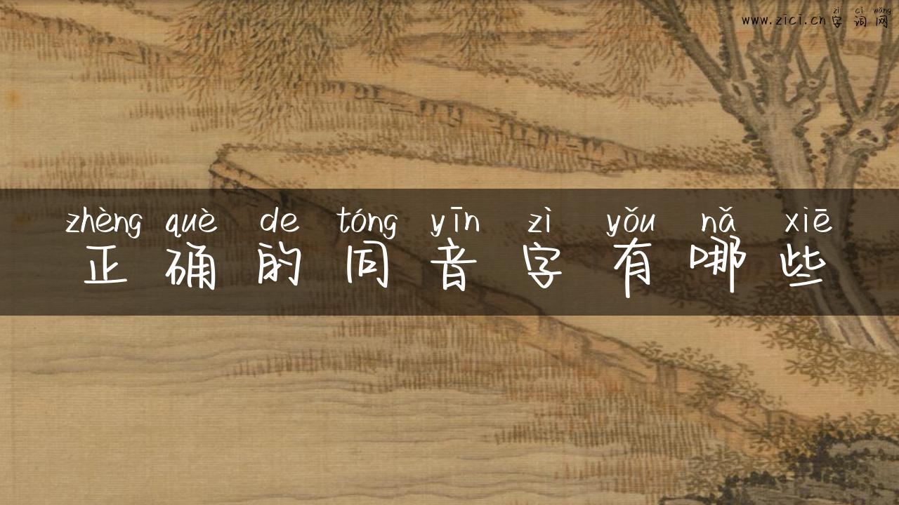 正确的同音字有哪些