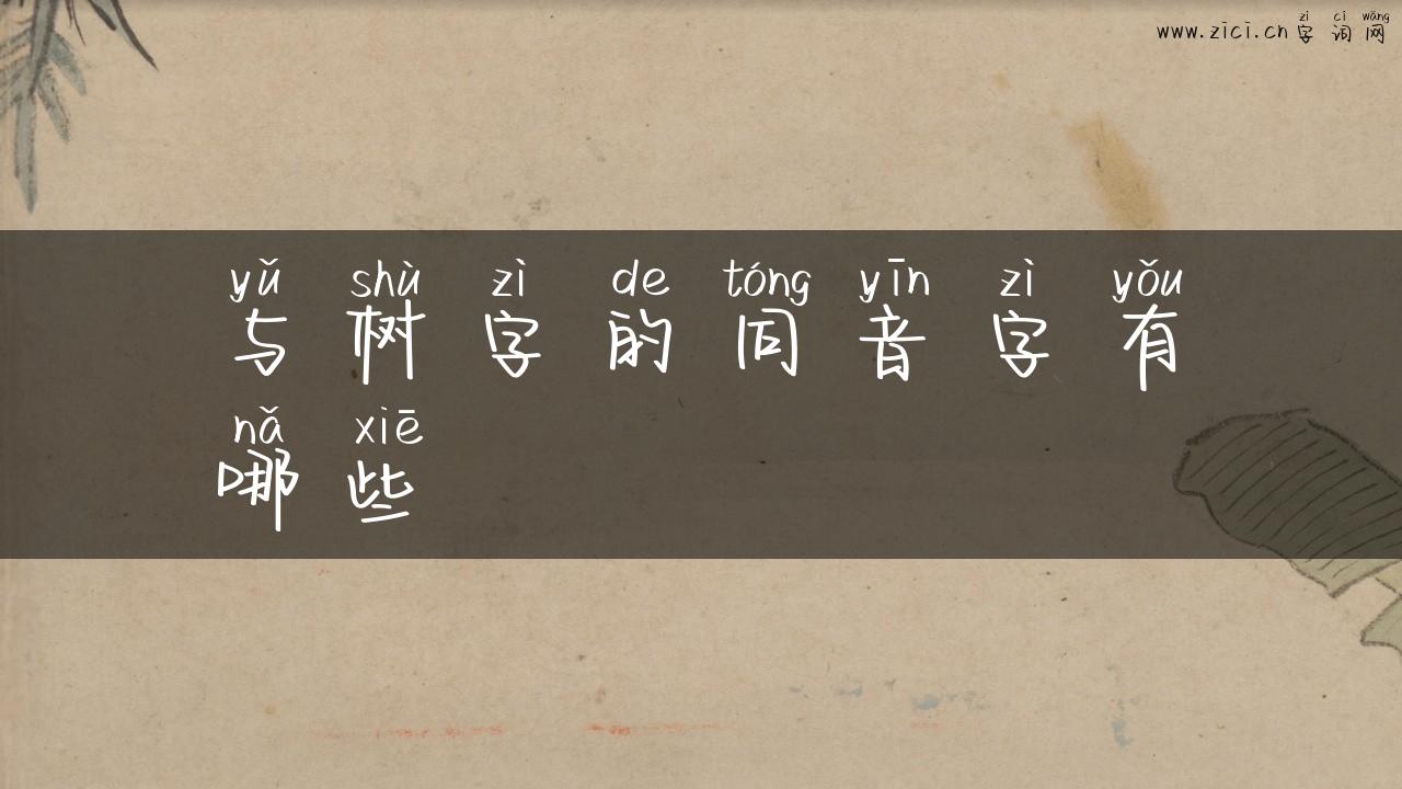 与树字的同音字有哪些