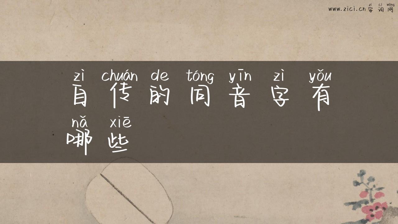 自传的同音字有哪些