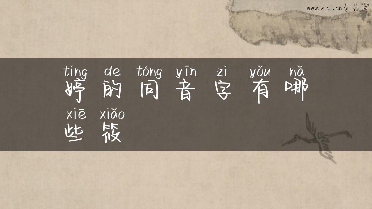 婷的同音字有哪些筱