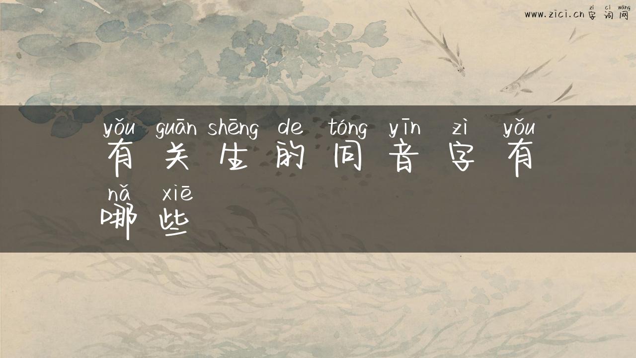有关生的同音字有哪些