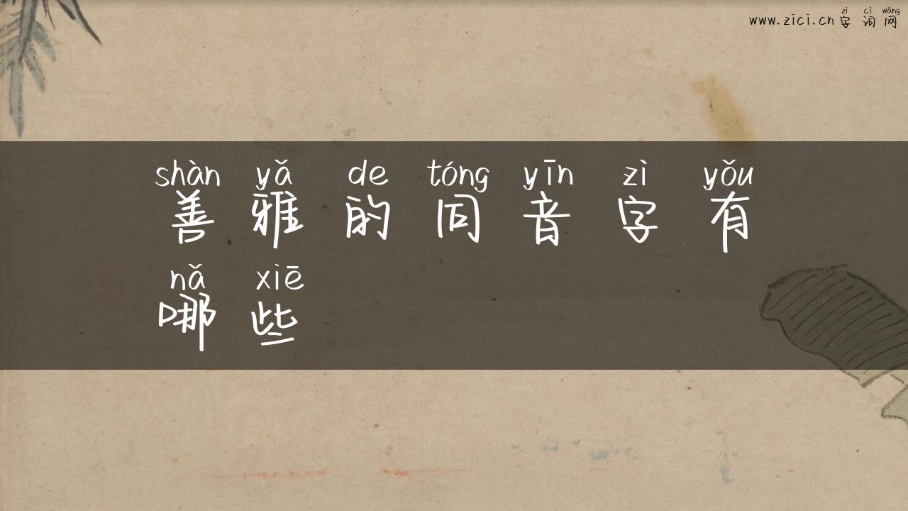 善雅的同音字有哪些