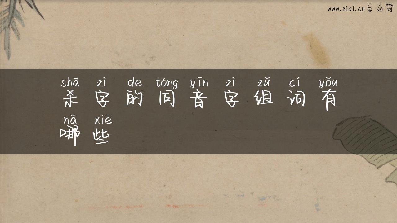 杀字的同音字组词有哪些