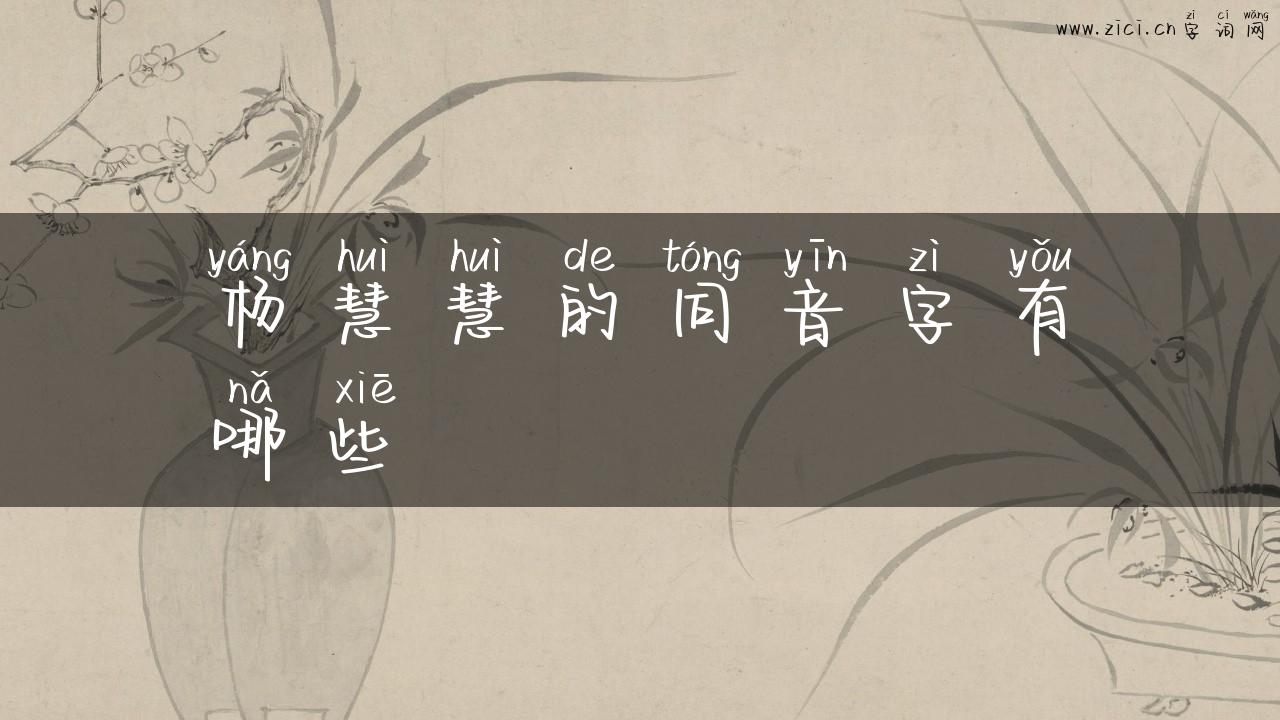 杨慧慧的同音字有哪些