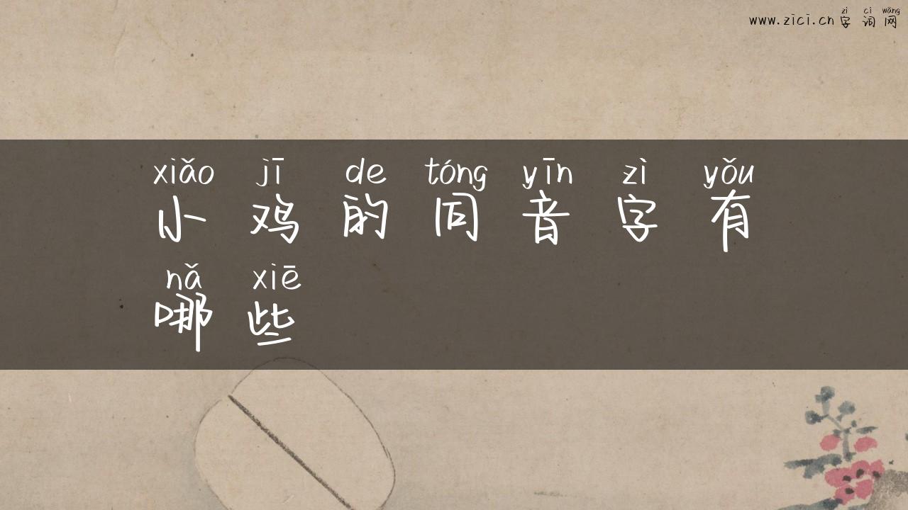 小鸡的同音字有哪些