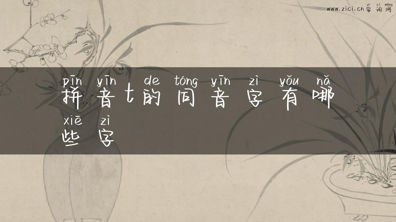 拼音t的同音字有哪些字
