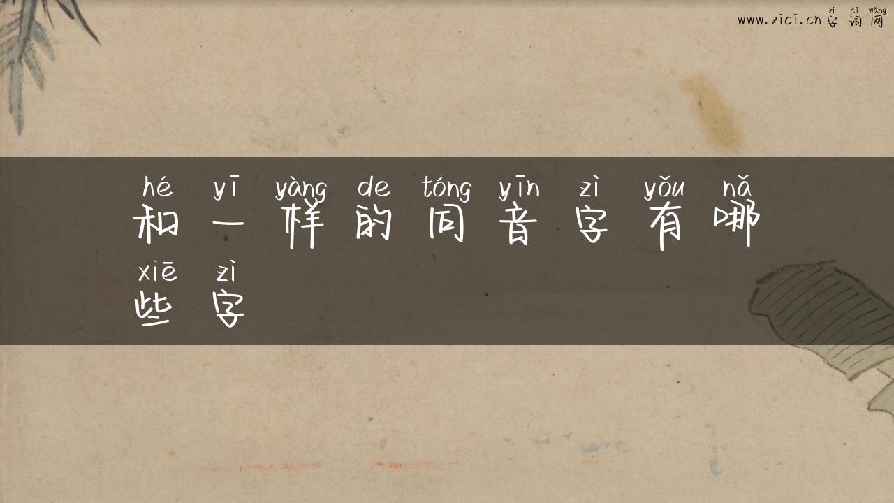 和一样的同音字有哪些字