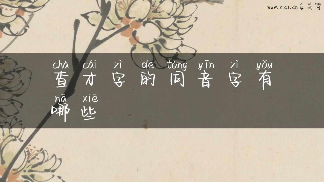 查才字的同音字有哪些