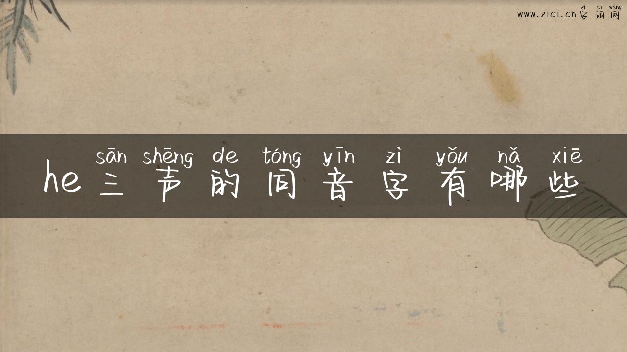 he三声的同音字有哪些