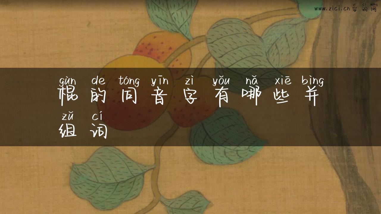 棍的同音字有哪些并组词