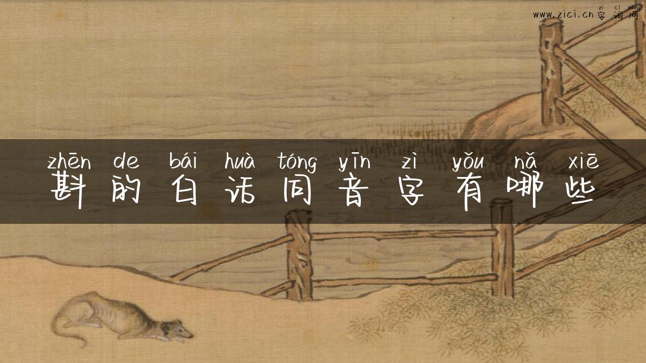 斟的白话同音字有哪些